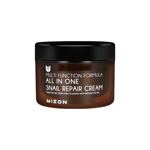 MIZON All In One Snail Repair Cream, Day and Night Face Moisturizer with Snail Mucin Extract, Recovery Cream, Korean Skincare, Wrinkle & Blemish Care (4.06 fl oz)