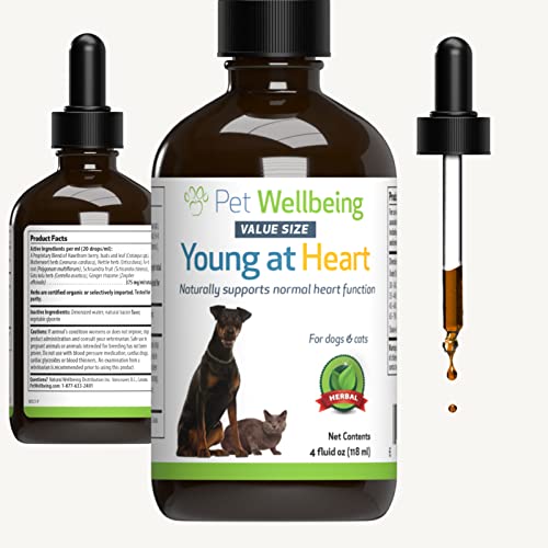 Pet Wellbeing Young at Heart for Dogs & Cats - Vet-Formulated - Supports Cardiovascular (Heart & Circulatory) Health - Natural Herbal Supplement 4 oz (118 ml)