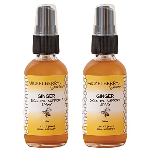 Ginger Digestive Support Spray - Natural Digestion Support - Organic Ginger Root Herbal Supplement, 2 Ounces (Pack of 2)