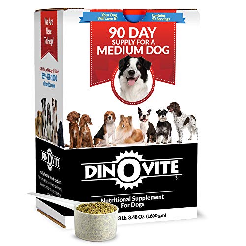 Dinovite Probiotic Supplement for Dogs - Omega 3 for Dogs - Hot Spot Relief - Skin & Coat Supplement for Dogs - 90 Day Supply for Medium Dogs (3.5 lbs)