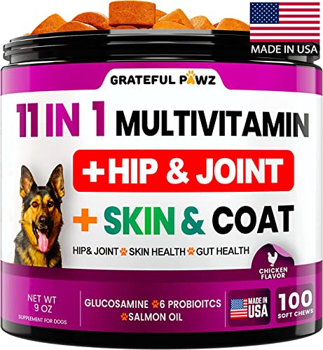 Dog Multivitamin Chewable with Glucosamine - Dog Vitamins and Supplements, Senior & Puppy Multivitamin for Dogs - Pet Chondroitin Hip and Joint Support Health, Immune Booster, Skin, Heart, Probiotics