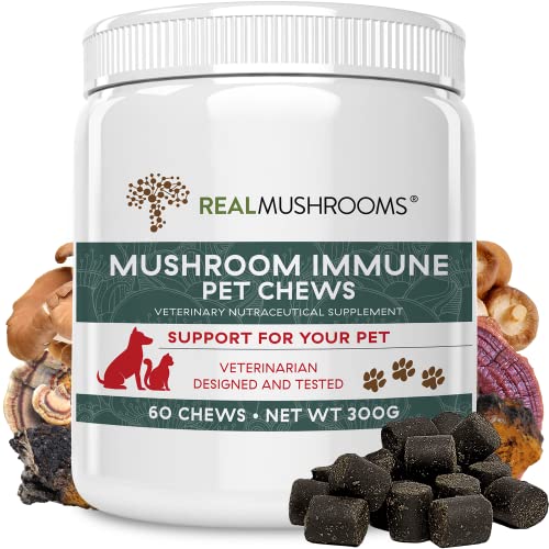 Mushroom Immune Support Pet Chews (60ct) Treats for Dogs – Immune Booster Supplements for Pets with Ashwagandha, Astragalus, Blueberry, Olive Leaf, Acerola &Gut Health for Dogs and Cats