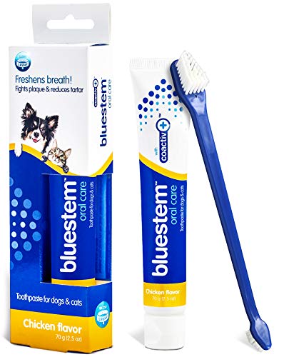 Dog Toothbrush and Toothpaste : Chicken Flavor Tooth Paste with Tooth Brush for Dogs & Cats. Teeth Brushing Cleaner Pet Breath Freshener Oral Care Dental Cleaning Kit. Tartar & Plaque Remover Brushes